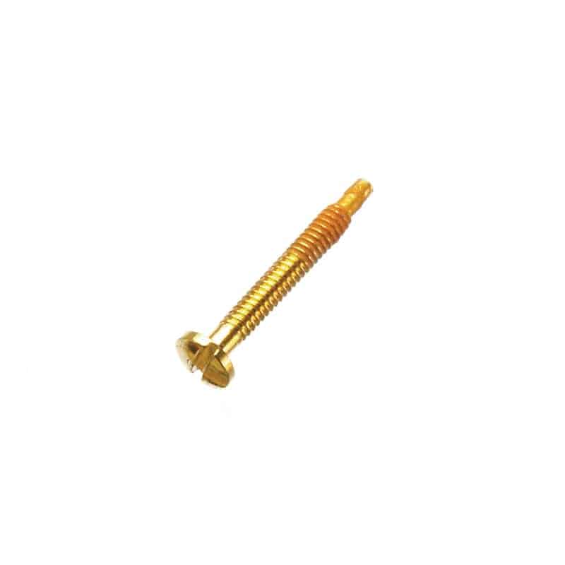 Gold Slotted Self-Tapping Screws (large head)