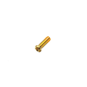 Hinge Screws