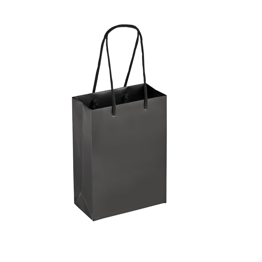 Boutique Shopping Bags Black - Laminated (Small) [Min. Order Qty: 100 ...