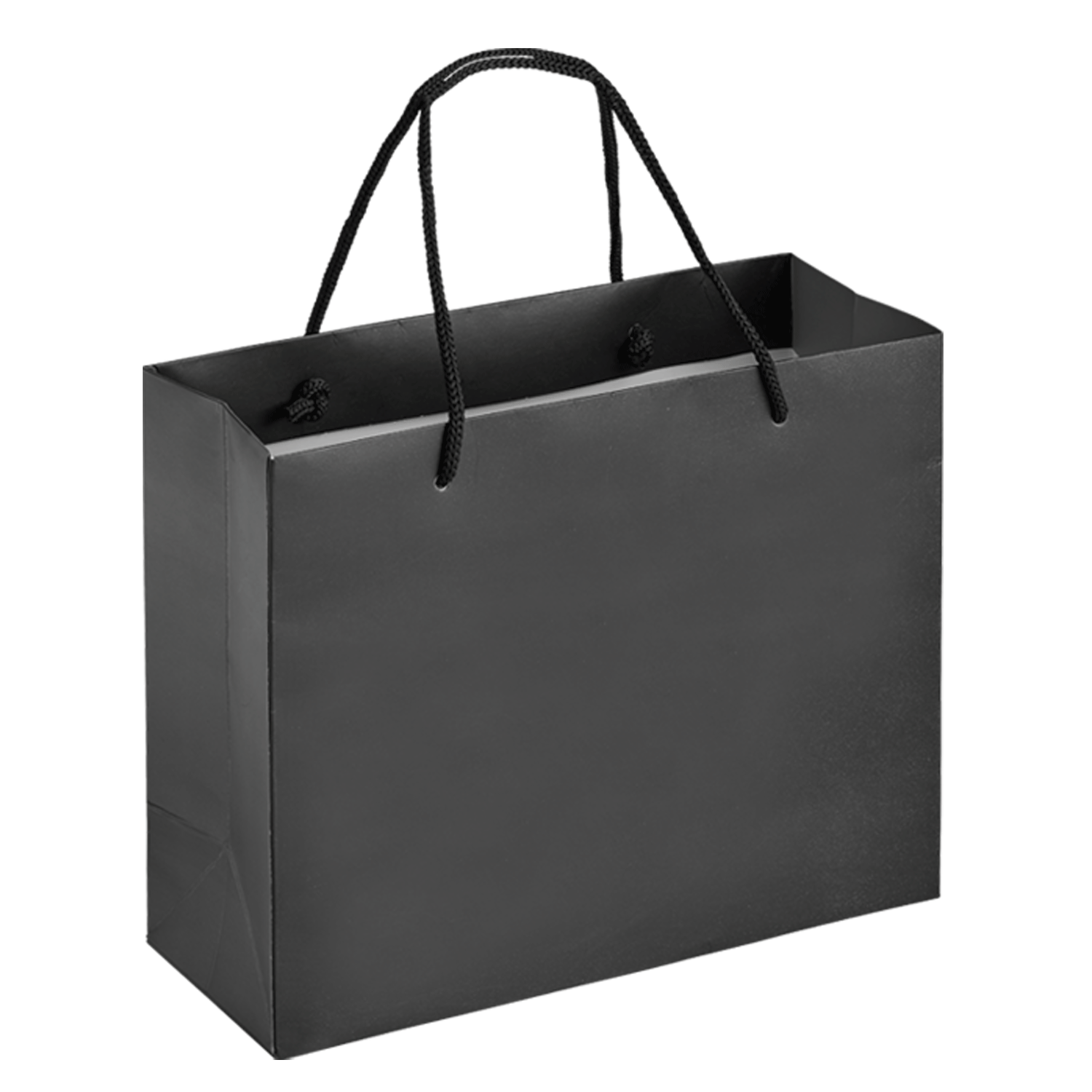 Boutique Shopping Bags Black - Laminated (Large) [Min. Order Qty: 100 Bags]