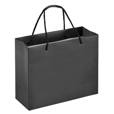 Boutique Shopping Bags Black - Laminated (Large) [Min. Order Qty: 100 Bags]