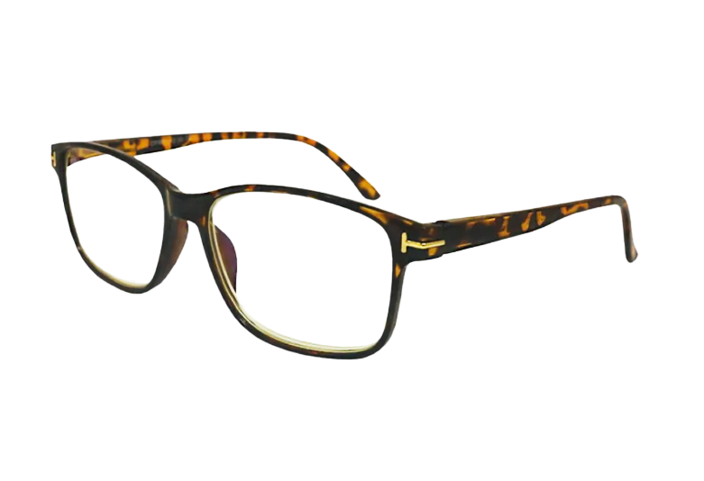 OPR 05 Reader Tortoise