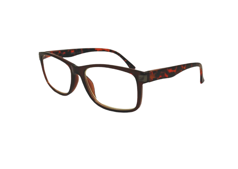 OPR 07 Reader Tortoise