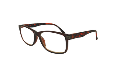 OPR 07 Reader Tortoise