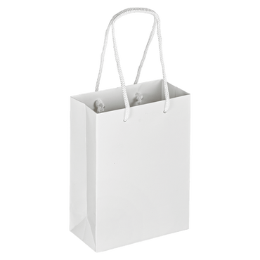 Boutique Shopping Bags - Laminated (Small) [Min. Order Qty: 100 Bags]