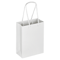 Boutique Shopping Bags White - Laminated (Small) [Min. Order Qty: 100 Bags]