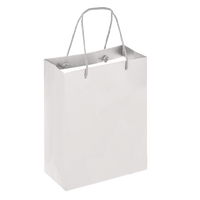 Boutique Shopping Bags White - Laminated (Large) [Min. Order Qty: 100 Bags]