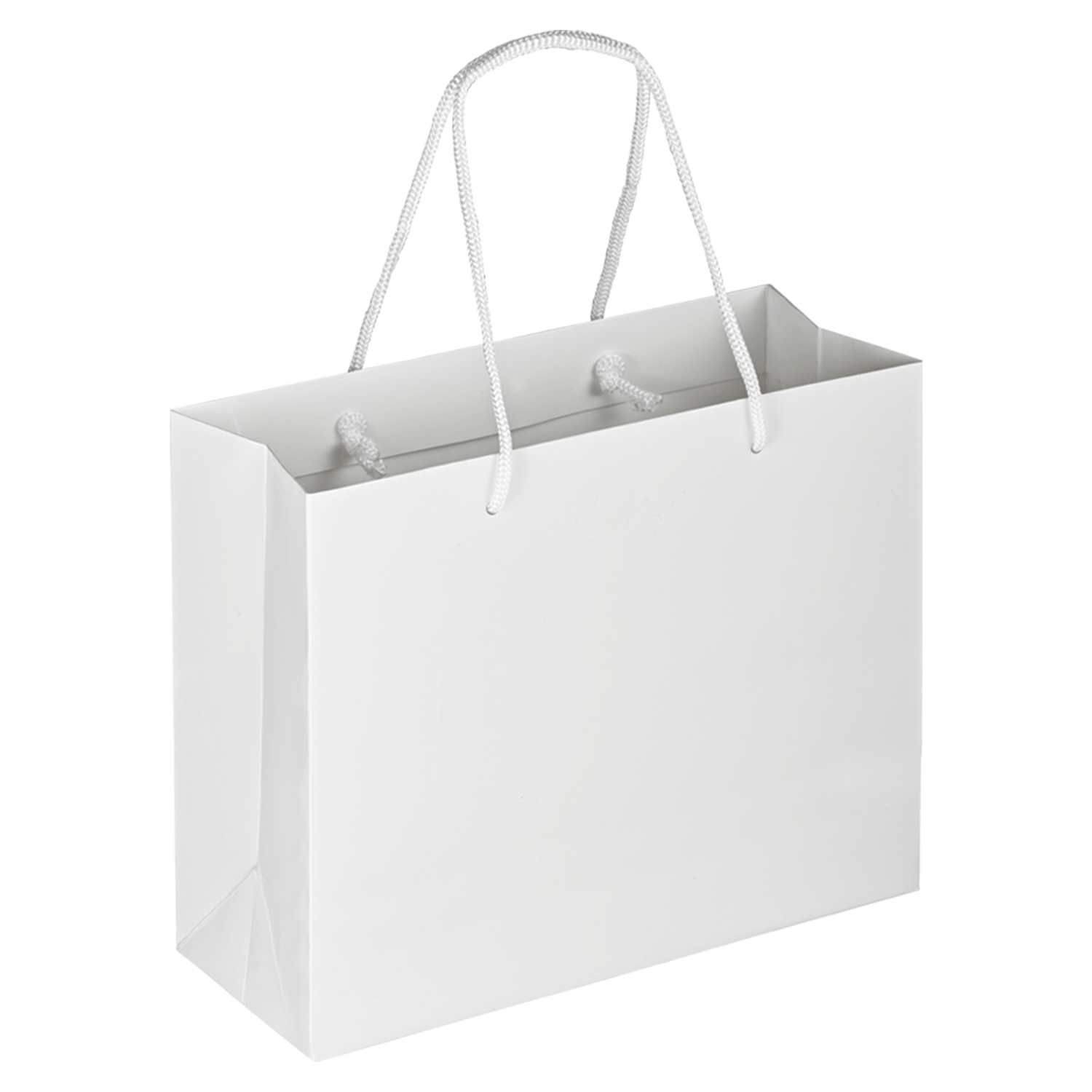 Boutique Shopping Bags White - Laminated (Large) [Min. Order Qty: 100 Bags]