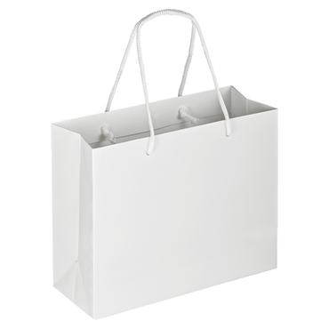 Boutique Shopping Bags - Laminated (Large) [Min. Order Qty: 100 Bags]