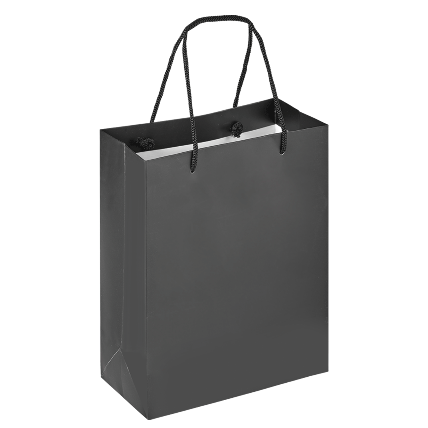 Boutique Shopping Bags - Laminated (Large) [Min. Order Qty: 100 Bags]