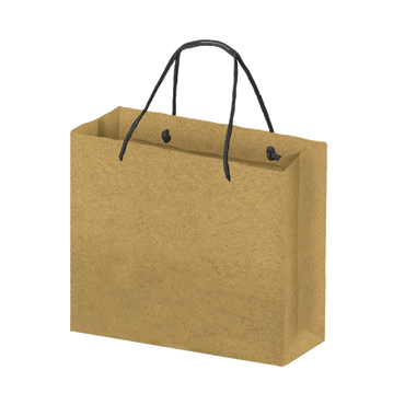 Boutique Eco-Friendly Shopping Bags - Kraft (Large) [Min. Order Qty: 100]