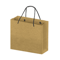 Boutique Eco-Friendly Shopping Bags - Kraft (Large) [Min. Order Qty: 100]