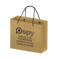 Boutique imprinted Eco-Friendly Shopping Bags - Kraft (Large) [Min. Order Qty: 500]