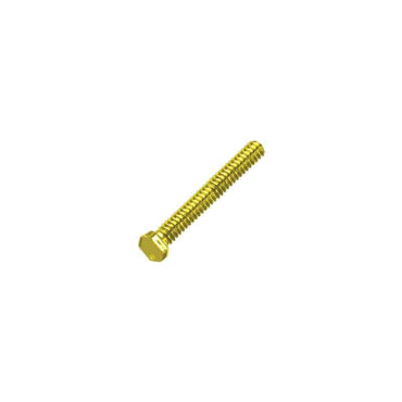 Rimless Trim Screws – Slotted/Hexagonal (Silver, Gold, Black)