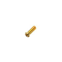Hinge Screws