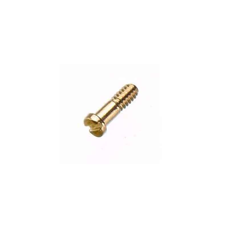 Gold Slotted Hinge Screw